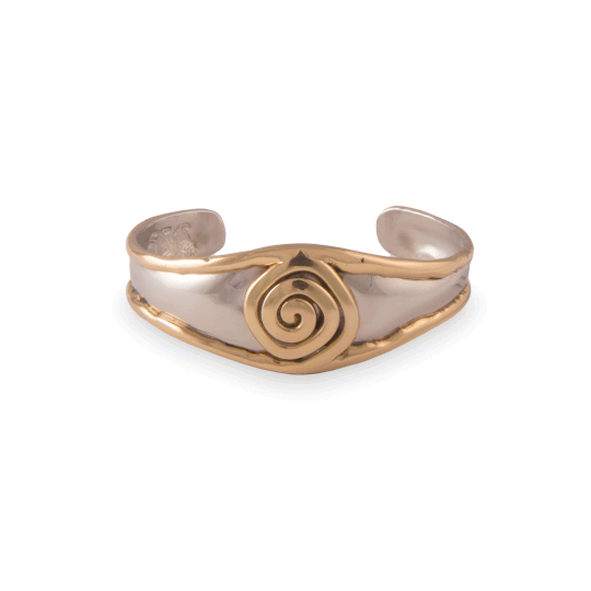 Single Spiral Silver Tone Bangle - A & M News and Gifts