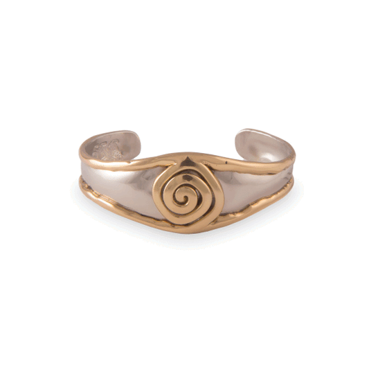 Single Spiral Silver Tone Bangle - A & M News and Gifts