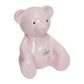 Bambino Metal Teddy Bear Money Box - A & M News and Gifts